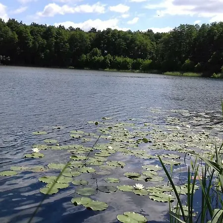 Camping De Luxe Am See Ii Campsite